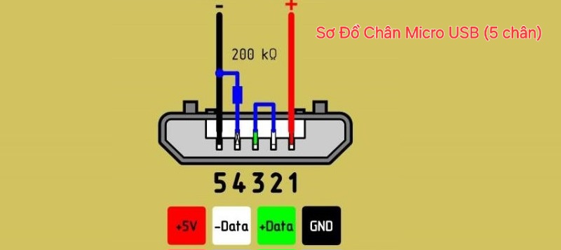 Kh m Ph Chi Ti t S Ch n USB C u T o V ng D ng Th c Ti n PKTN 