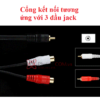Đầu RCA đực (Male)