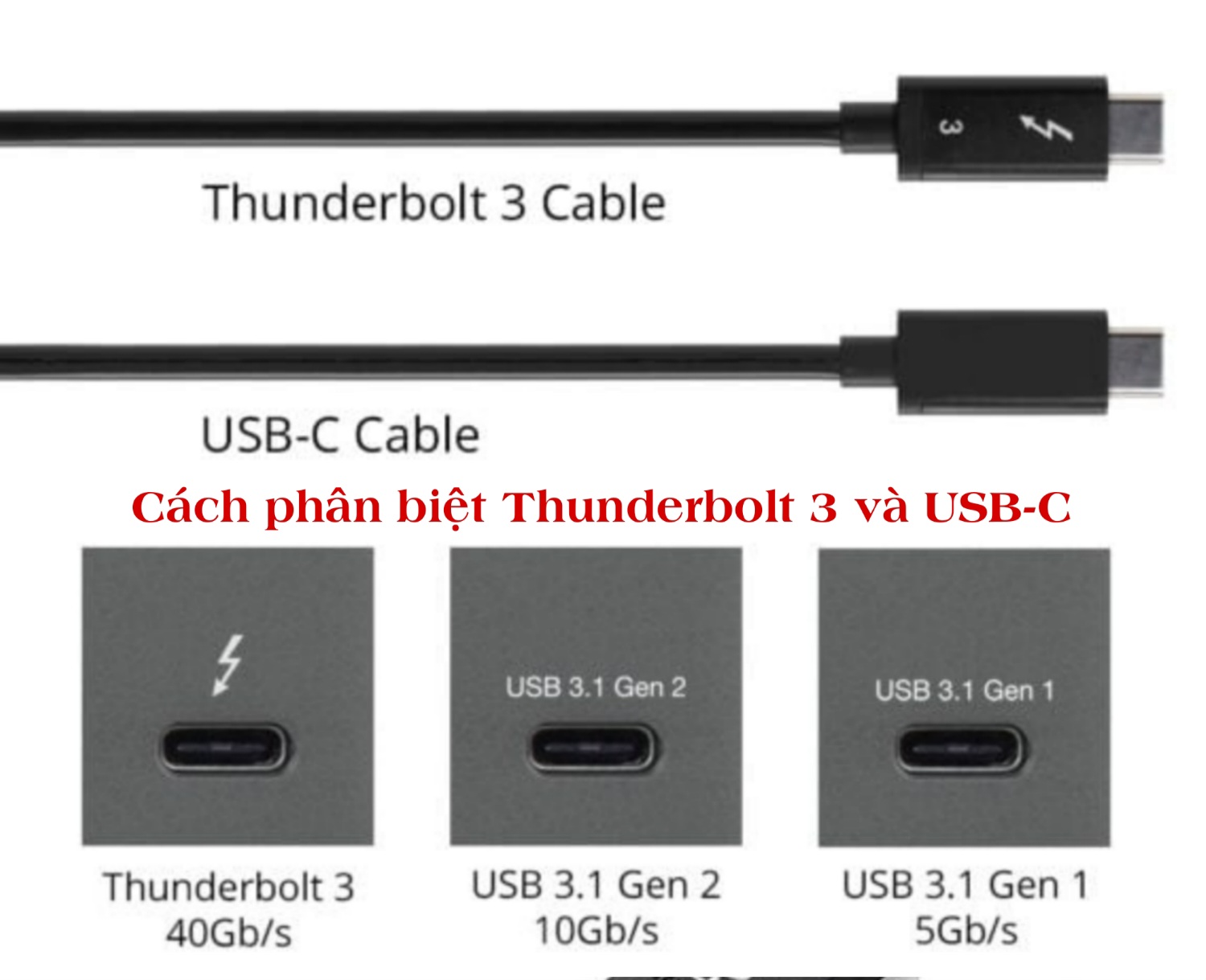 Phân biệt khác nhau giữa USB Type-C và Thunderbolt 3 - Phukiencom.vn