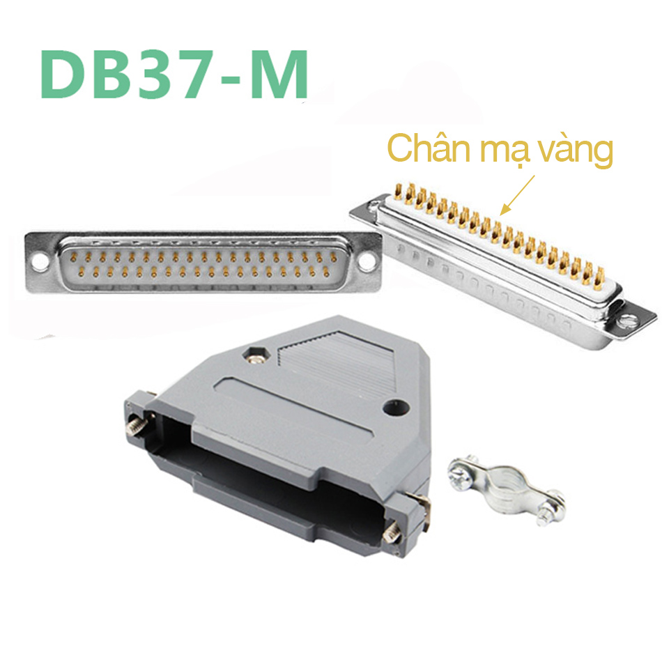 Đầu DB37 CÁI 