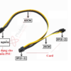 Cáp chuyển nguồn 6Pin PSU sang PCI-e 8Pin