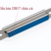 Đầu nối Dsub DB37 chân âm